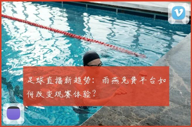 足球直播新趋势：雨燕免费平台如何改变观赛体验？