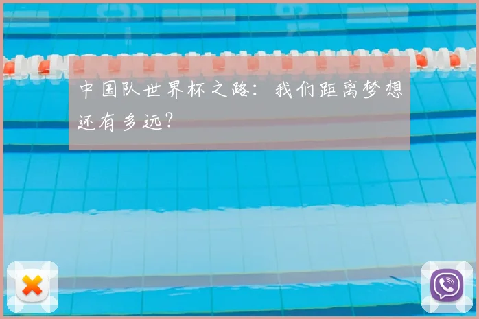 中国队世界杯之路：我们距离梦想还有多远？