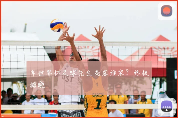 年世界杯足球先生花落谁家?终极揭晓
