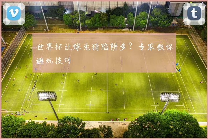 世界杯让球竞猜陷阱多？专家教你避坑技巧