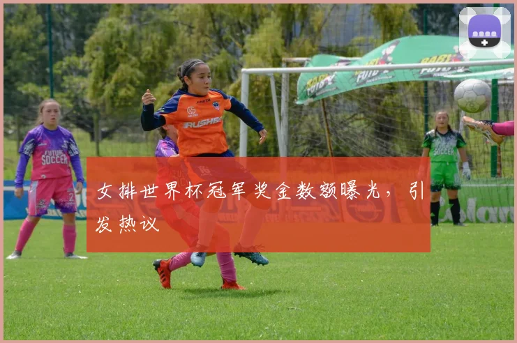 女排世界杯冠军奖金数额曝光，引发热议