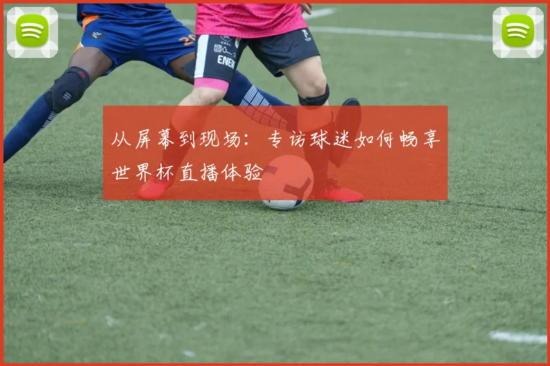 从屏幕到现场:专访球迷如何畅享世界杯直播体验