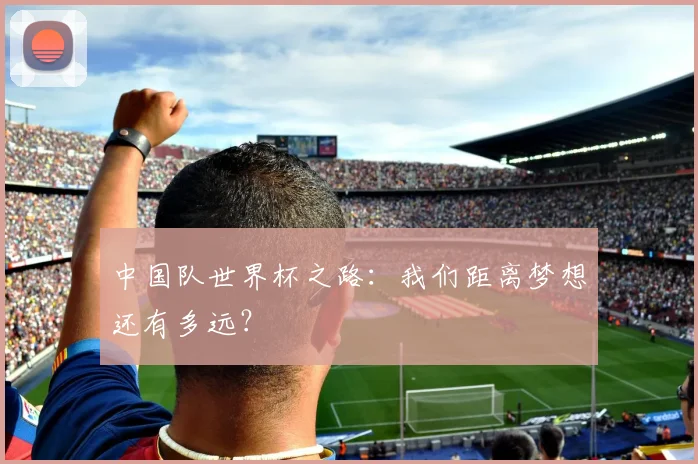中国队世界杯之路：我们距离梦想还有多远？